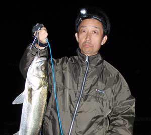 投げ釣りポイント-千葉県富津市のスズキ